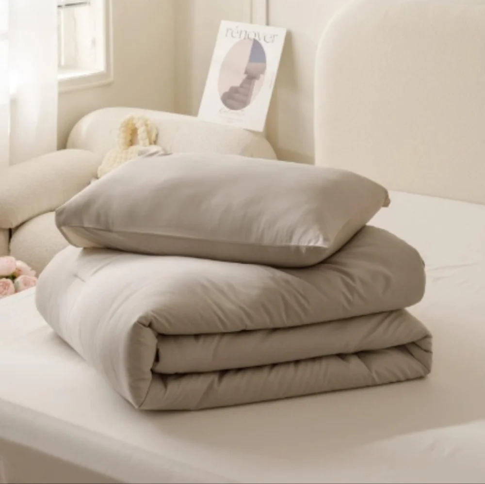 Lightweight Down Bedding Set/ Twin